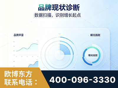 启东-品牌现状诊断