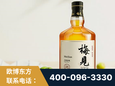 启东-梅见青梅酒